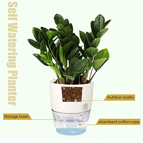Vanavazon 6 Inch Self Watering Planter Pots for Indoor Plants, 3 Pack African Violet Pots with Wick Rope-White - color: White