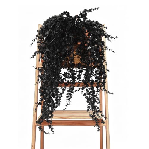 RECUTMS Black Artificial Hanging Gothic Plant 30" Fake Fall Greenery Vines | 3Pcs Artificial Greenery for Outdoors,UV Resistant Faux Ivy,Plastic Plants for Indoor Outdoor Halloween Garden Decoration - color: Black Grass, size: Hanging Plants