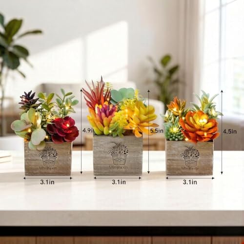Succulents Plants Artificial, Small Faux Plants with Lights, Assorted Decorative Fake Succulent Potted for Office Desk Bathroom Bedroom Shelves Windows Room Decor - color: Natural Logic