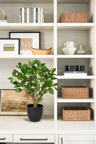 GnFlus Artificial Tree, 17'' Ficus Bonsai, Premium Faux Planted Potted Decor for Home Table Office Desk Bathroom Bedroom Living Room Farmhouse - color: Green