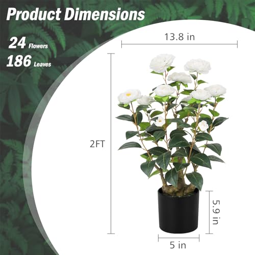 Romantic Season 2FT White Artificial Camellia Tree 2Pack, Faux Camellia Plant Fake Potted Camellia Flower Tree Plastic Camellia Tree for Modern Home Office Living Room Floor Décor - color: White, size: 2FT