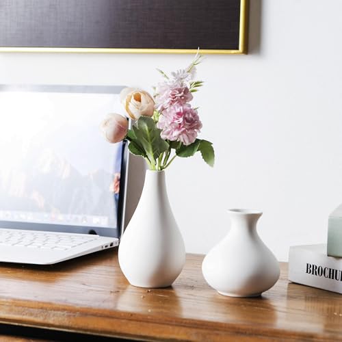 White Bud Vases, Ceramic Small Vase Set of 5, Mini Vases for Fresh and Dried Flowers, Modern Home Decor, Pottery Centerpiece Table Decorations - color: White - 5 Pcs
