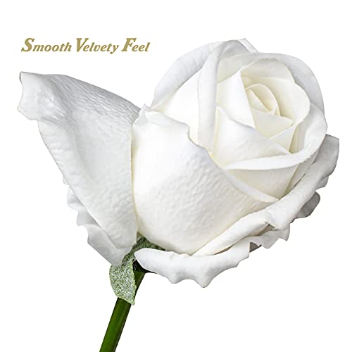 DILATATA Artificial Realistic Roses White Flowers 24" Real Touch Silk Roses Bouquet Long Stems Rose Fake Roses Decor for Home Party Wedding Table Centerpieces Roses Realistic - 5 Pcs - color: White