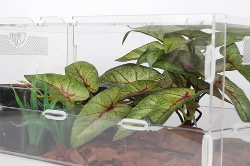 Reptile Plants for Terrarium, Ball Python Tank Decor Accessories fit Bearded Dragon Crested Leopard Gecko Lizard Chameleon Snake Frog Tortoise Hermit Crab - Fake Arrowhead Plants - color: H-fake Arrowhead Plants