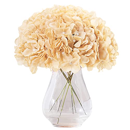 New Champagne Silk Hydrangea Heads Artificial Flowers Heads with Stems for Home Wedding Decor,Pack of 10 - color: 10pcs New Champagne, size: Large