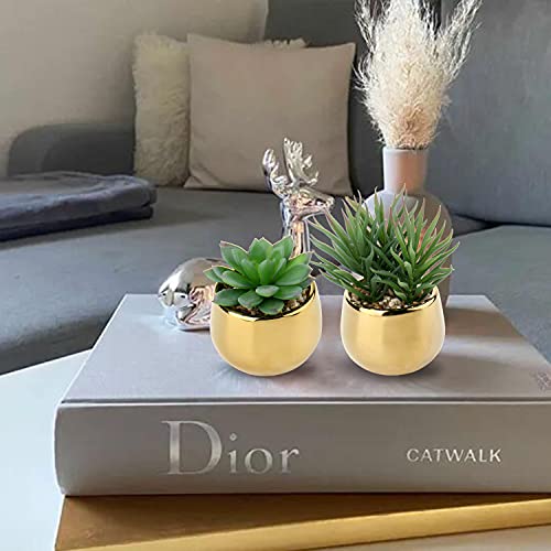 Briful Small Artificial Succulents in Pots Set of 3 Realistic Faux Succulents Plants with Gold Ceramic Pots Cute Mini Fake Plants Decor for Modern Home Table Office Desk Bathroom Shelf Decoration - color: Style #10