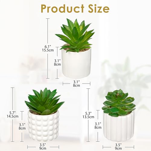 Briful Succulents Plants Artificial in White Ceramic Pots (Set of 3), Small Fake Plants for Home Office Desk Decor – Modern Mini Potted Succulents for Bathroom, Bedroom, Living Room Table, Shelf - color: White