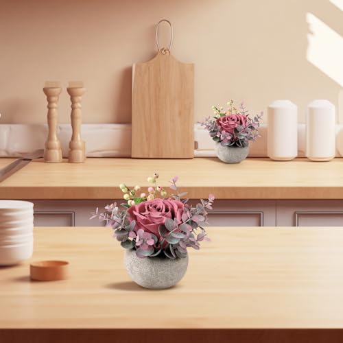 2 Pack Mini Potted Flowers, Pink Rose Artificial Flowers in Pot Fake Greenery Potted Plants Desk Shelf Decor for Home Office Living Room Bathroom - color: 2 Pack Red Rose