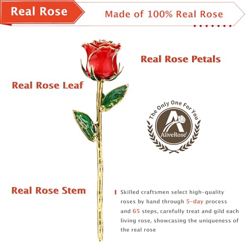 AliveRose Valentines Day Gifts for her, 24K Gold Rose Made from Real Rose - Unique Design 24K Dipped Roses for Anniversary Valentines Mothers Day Birthday Gifts (Red Original with Crystal Vase) - color: 1. Red Original Rose With Crystal Vase