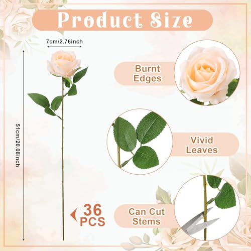 36 Pcs Champagne Artificial Roses with Long Stems, Fake Silk Rose Artificial Flowers Bulk for Bridal Wedding Bouquet Centerpiece Ball Arrangement Party Decor - color: Champagne
