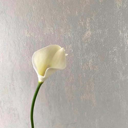 20Pcs 2.1 Inch Cream White Calla Lily Artificial Flowers Faux Calla Lily Fake Flowers Bulk Real Touch Latex Calla Lilies Flowers for Home Wedding Party Plant Decoration Table Centerpieces - color: Cream White