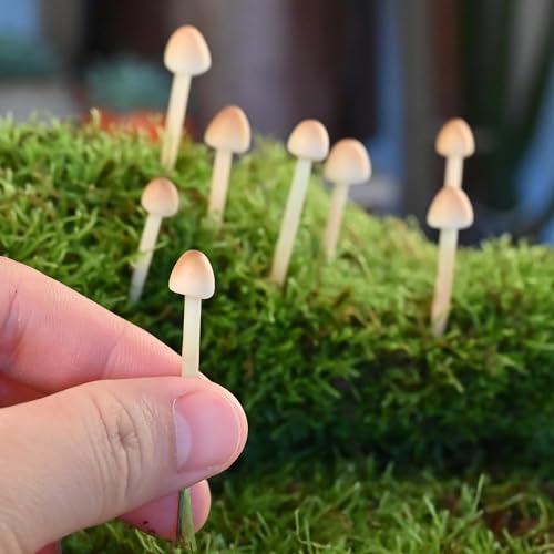 8-Pack Handmade Clay Mushrooms - Mini Fake Mushrooms for DIY Miniature Landscapes & Fairy Gardens - Desktop Ornaments & Christmas Decorations.