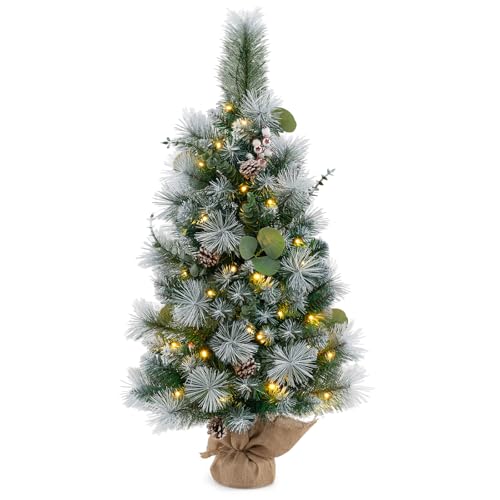 GOFLAME 3FT Prelit Artificial Christmas Tree for Entrance, Indoor Outdoor Xmas Tree with 30 LED Lights, Flocked Pine Needles, Eucalyptus Leaves, White Berries, Pine Cones, Timer for Porch - color: Snow Flocked