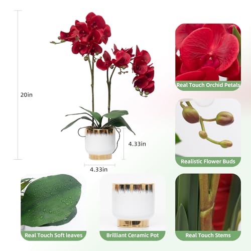 CXGS Orchids Artificial Flowers Real Touch Fake Flowers in Ceramic Pot 20" Red Faux Orchid Plant Lifelike Silk Phalaenopsis for Centerpiece Hotel Home Indoor Decor - color: Red- White Gold Vase