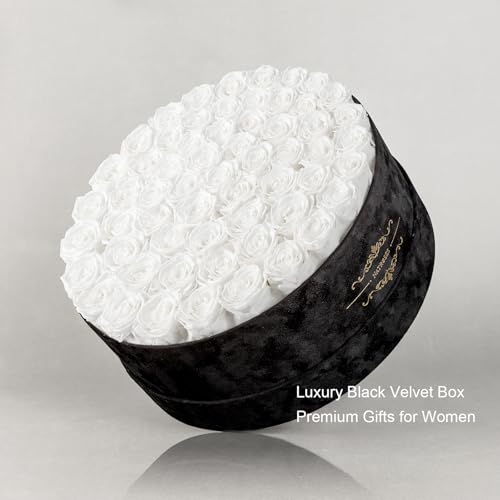 Gifts for Women – NATROSES 60 Preserved Roses in Luxury Black Velvet Box, Preserved Flowers for Delivery Gift for Her, Elegant Rose for Birthday, Mother’s Day, Christmas (White) - color: White, size: 60 Roses