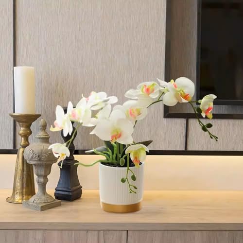 Artificial Orchid Plant with Pot, Realistic Faux Phalaenopsis Orchid with Moss, Lightweight Desktop Decor for Home and Office (White Two Branches) - color: White Two Branches