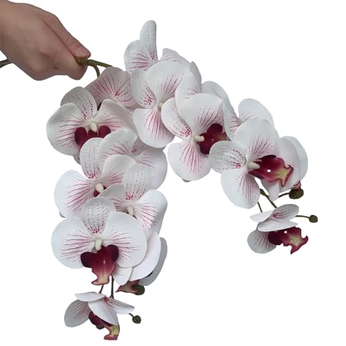 FagusHome 8 Pcs Artificial Phalaenopsis Flowers 32 Inch Artificial Orchid Flowers Fake Flowers Stem Plants for Home Décor (White and Purpleline) - color: White and Purpleline