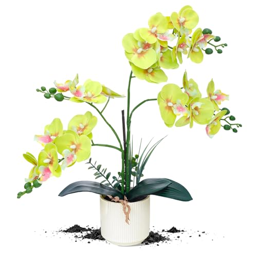 ucky Apple Green 15.7" 3D Lifelike Artificial Orchid Plant with 20 Heads, Realistic Faux Phalaenopsis in Ceramic Pot for Home Decor, Elegant Fake Flower Arrangement Table Centerpiece - color: Apple Green