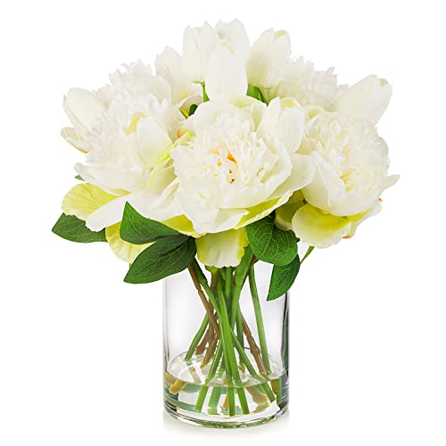 ENOVA FLORAL Artificial Flower Arrangement with Vase, Faux Flower in Vase, Mixed Artificial Real Touch Tulip and Fake Silk Peony Flower in Vase for Decoration Home Office(Cream) - color: T& Peony Cream