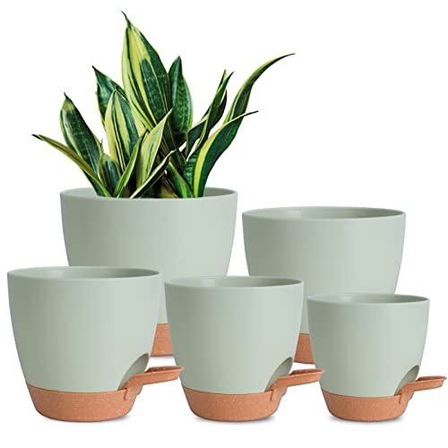 Vanslogreen Plant Pots Indoor 7/6.5/6/5.5/5 Inch Self Watering Planters for Indoor Plants with Drainage Hole, Plastic Flower Pots for Succulents, African Violet (Green) - color: Green-5pack, size: 7/6.5/6/5.5/5 inch