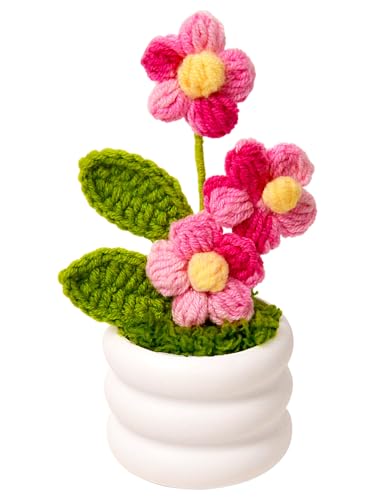 Knitted Flowers Crochet Flower Pot for Desk Car Dashboard Decorations, Mother's Day, Valentine's Day, Birthday Gift for Her, Mom, Women, Girlfriends (Daisy, Pink) - color: Y: Daisy - Pink