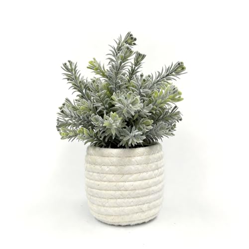 Hopewood Small Artificial Plants Eucalyptus with a Weave Basket Potted Plants for Home Office Desk Farmhouse Indoor Decor - color: Green Plant Style B