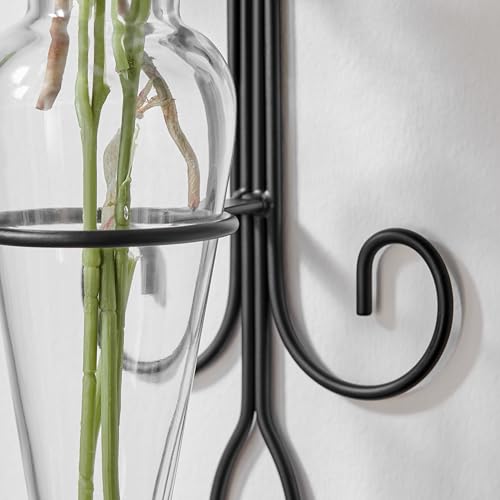 Danya B. Home Accent Wall Mount Fleur de Lis Flower Vase Sconce Made from Iron and Clear Glass, it Can be Displayed on The Wall Indoors or Perfect for The Patio