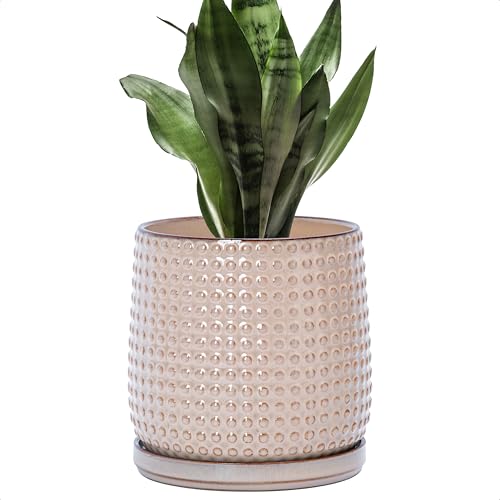 D'vine Dev 6 Inch Ceramic Beaded Stoneware Planter Pot - Flower Pot with Drainage Holes and Saucers for Indoor Succulent Plants or Flowers, Light Brown, 27-C-X-4 - color: Light Brown, size: 5.8 Inch