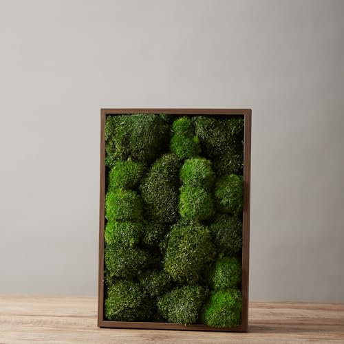 2 Color Mix Pack Preserved Pole Moss Pillow Bun Cushion Natural Decorative Green DIY Kit Art Wall Decor Florist Decor Easter Table Decor Wedding(1.5 sq.ft, Green-A,Green-B) - color: Color Mix-green-(a+b), size: 1.5 sq.ft.