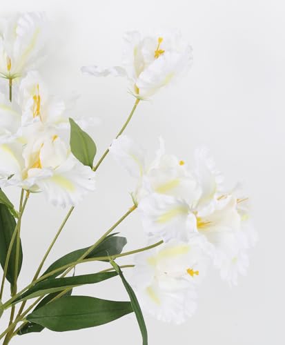 White Iris Flowers 5Pcs 15Heads - 35.4" Long Stem Artificial Iris Flowers for Tall Vase Faux Summer Flowers Floral Arrangements for Home Wedding Centerpieces Decor(White) - color: White