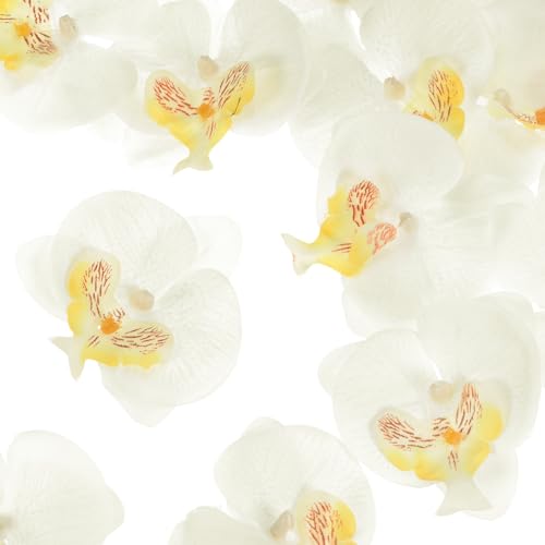 M METERXITY 20-Pack Artificial Orchid Flower Heads, Silk Faux Butterfly Flowers Head for Wedding/Bouquet/Bridal/Party Decor, Fake Phalaenopsis Petals Bulk [2.76 Inch, White Yellow] - color: White Yellow, size: 2.76 Inch