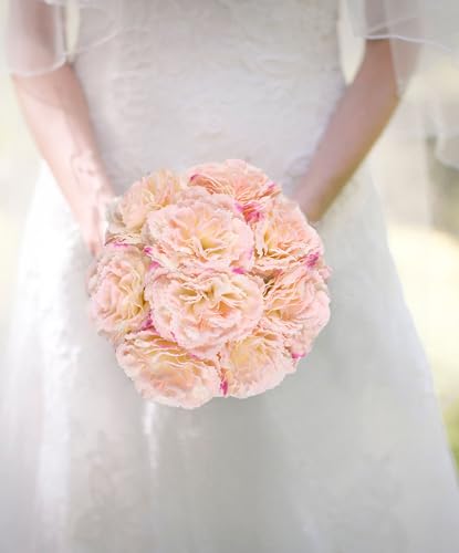 IPOPU Fake Carnations Light Pink Flowers Artificial 10PCS Carnations Flowers 11.4" Small Fake Flowers Silk Flowers with Stems of Baby Shower Decorations Table Decor Centerpieces (Light Pink) - color: Light Pink