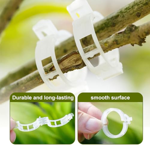 Secured Plastic Plant Clip, 2024 Upgraded Plant Support Clips Reusable Garden Clips 50Pcs, Plant Support Clips Garden Climbing Vines Fixing Clip Trellis Clips Climbing Tomato Clips (50, Black) - color: Black