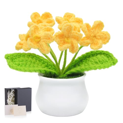 LAIDANLA Yellow Crochet Flowers Forget Me Not, Mini Handmade Yarn Flower Potted Plants for Desk, Anniversary Graduation Appreciation Birthday Gifts for Women Friend Teacher Coworker Mom - color: Yellow