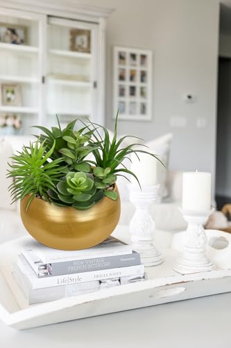 Hollyone Fake Plants Artificial Succulents in Pots Faux Succulent Arrangement Potted Plant in Gold Ceramic Planter Bowl for Home Decor Office Desk Bathroom Shelf Living Room Indoor Decorations - color: Premium Gold