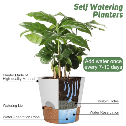 YNNICO 10 inch Plant Pots, Self-Watering Planters with Drainage Holes & Saucers for Indoor and Outdoor Plants (2-Pack,White - color: White, size: 10 inch