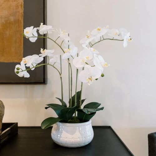 CG Hunter Faux White Orchid Plant, Premium Artificial Indoor Flower Display Stands 23”, Beautiful Sculptural Blooms That Lasts Forever, White Planter Pot Included - size: 23" White 4-Stem Orchid
