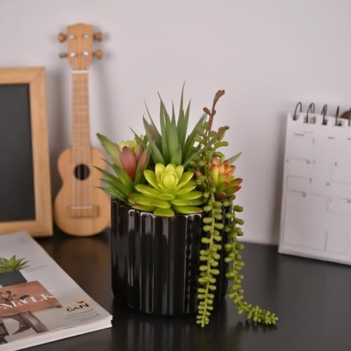 8 Inch Fake Plants Artificial Succulent Plants，Black Ceramic Flower Pot，Assorted Faux Mini Succulents in a Decorative Planter Pot. - color: Black