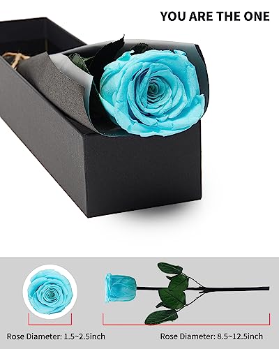Sky Blue Flowers for Delivery Prime, Preserved Blue Roses Flower Gifts for Women, Real Roses Single Rose Gifts for Her, Mom Birthday Gifts from Daughter, Valentines Flowers - color: 10-sky Blue