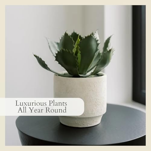 CG Hunter Round Faux Succulent Arrangement, Set-of-2 Premium Artificial Indoor Plants Enhances Interior Design, Display on Any Surface in Your Home Adding an Inviting Touch of Nature, Pots Included - size: 10" Set-of-2