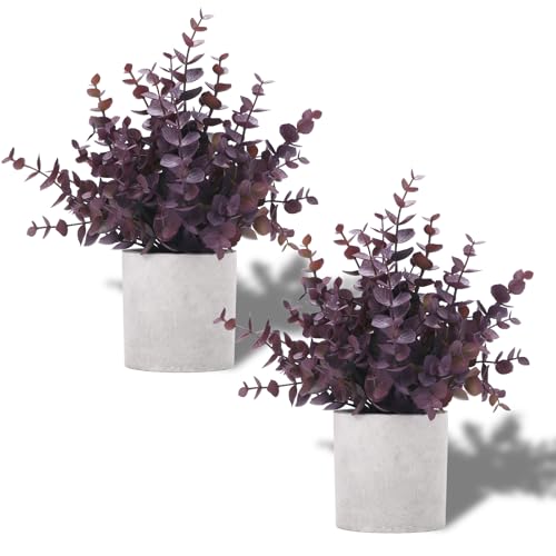 Coferset 2 Pack Small Fake Plants Eucalyptus Potted Artificial Plants Fall Decorations for Home Shelf Office Bathroom Desk Farmhouse Room Coffee Table Decor Halloween Decor (Plum) - color: Plum-small