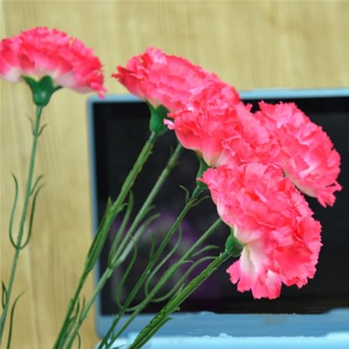 OUKEYI Artificial Flowers 10pcs Carnations Flowers Silk Hydrangea Bridal Wedding Bouquet for Home Garden Party Office Coffee House Decorations (red) - color: Red