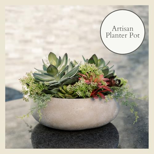 Round Faux Succulent Arrangement, 14" Premium Artificial Indoor Plant Enhances Interior Design, Display on Any Surface in Your Home Adding an Inviting Touch of Nature, Natural Planter Pot Included - size: 14" Round Natural Planter