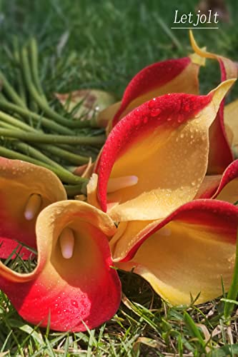 Letjolt Artificial Calla Lily Flowers 12Pcs Bouquet, Red Yellow | Wedding Bouquet, Home Decoration, Faux Flowers - color: Red-yellow