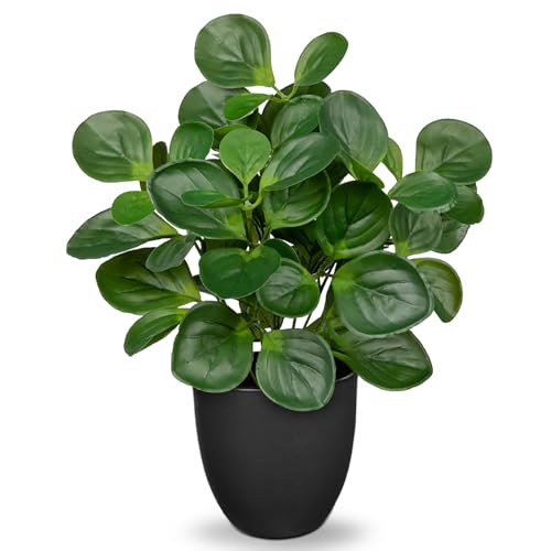 Villa Como 14.5" Artificial Plants Indoor Home Decor, Fake Potted Silk Plants for Shelves Living Room Decorative, Small Artificial Office Desk Plants in Pots, Faux Peperomia Hope Tropical House Plant - color: # Total Green