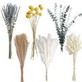 Dried Pampas Grass Bouquet – Boho Pampas Grass Decor for Home, Vase Fillers & Wedding — Natural Dried Flowers, Tall Pampas Grass for Floor Vase, Coastal, Scandinavian & Boho Room Decor (No Vase)