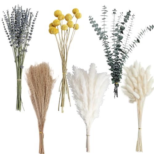 Dried Pampas Grass Bouquet – Boho Pampas Grass Decor for Home, Vase Fillers & Wedding — Natural Dried Flowers, Tall Pampas Grass for Floor Vase, Coastal, Scandinavian & Boho Room Decor (No Vase)