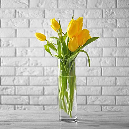 Glass Cylinder Vase 12 Inch High,Keketin Clear Glass Vases 3 Pack,Flower Vase for Table Centerpieces,Decor,Wedding Favors(4" W x 12" H) - size: 3pack-4"w x 12"h