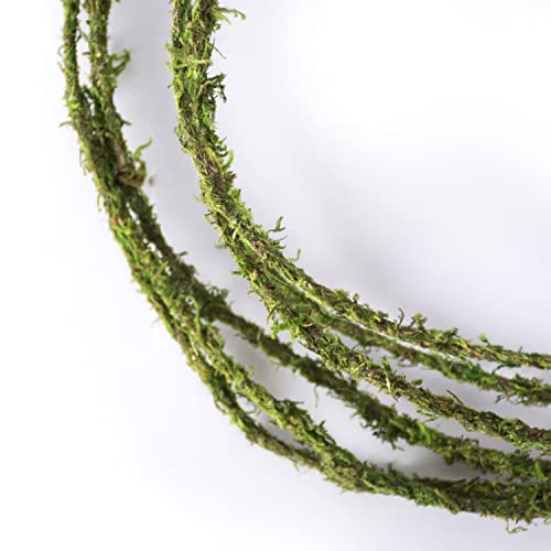 SuperMoss Floral Wire, 12 ft.