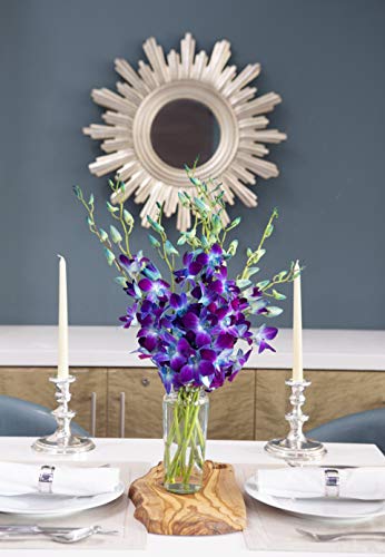 KaBloom-10 Blue Orchid Bouquet,Flowers for Valentine, Mother's Day - color: Blue, size: 10 count, style: With Vase